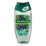 Palmolive Pure & Delight Blackcurrant sprchov gel 250 ml