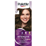 Palette Intensive Color Creme 4-5 Pralinka