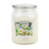 Bispol Blooming Jasmine svíčka ve skleněné dóze 500g