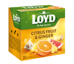 Loyd pyramida Citrusov plody & Zzvor 20 x 2g