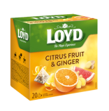 Loyd pyramida Citrusové plody & Zázvor 20 x 2g