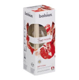 Bolsius Aromatic difuzér Get Cosy (pečené jablko se skořicí) 45 ml