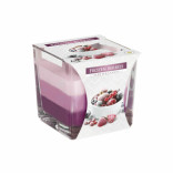 Bispol svka ve skle tbarevn Frozen Berries