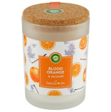 Air Wick svka Blood Orange 185g