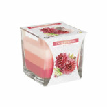 Bispol svka ve skle tbarevn Cactus Flower