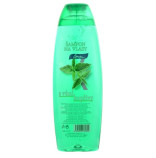 Chopa ampon na vlasy s vn kopivy 500 ml