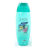Chopa ampon na vlasy s vn 7 bylin pro mastn vlasy 500 ml