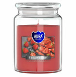 Bispol Anti Tobacco svka ve sklenn dze 500g