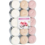 Bispol svky ajov tbarevn Vanilla Orchid 30 ks