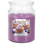 Bispol Blueberry Desert svka ve sklenn dze 500g