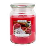 Bispol Raspberry - White Lavender svka ve sklenn dze 500g