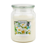 Bispol Blooming Jasmine svka ve sklenn dze 500g