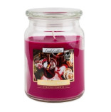 Bispol Mulled Wine svka ve sklenn dze 500g