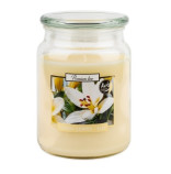Bispol Green Leaves - Lily svka ve sklenn dze 500g