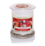 Bartek Gingerbread svka ve sklenn dze XL 260g 