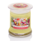 Bartek Tropical Salad svka ve sklenn dze XL 260g 