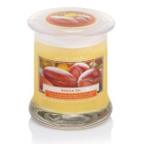 Bartek Argan Oil svka ve sklenn dze XL 260g 