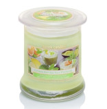 Bartek Citrus Green Tea Pudding svka ve sklenn dze XL 260g 