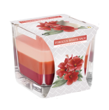 Bispol svka ve skle tbarevn Hibiscus - White Sage