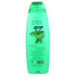 Chopa šampon na vlasy s vůní kopřivy 500 ml