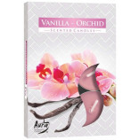 Čajové svíčky vůně Vanilla - Orchid 6ks