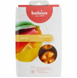 Bolsius True Scents Wax Melt Mango - náhradní vonný vosk 6ks
