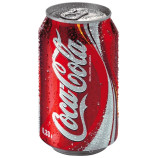 Coca Cola plech 0,33l - karton - balení 24ks