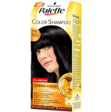 Palette Color Shampoo Černý 113